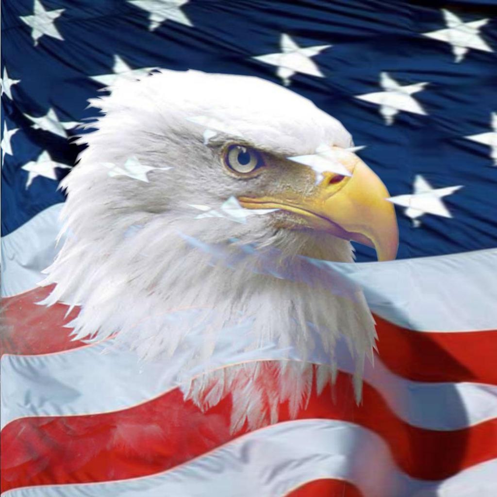 Mobile Desktop Background American Flag Bald Eagle Pictures
