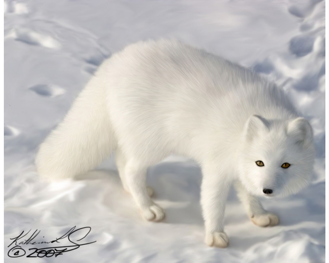 Mobile Desktop Background Arctic Fox Pictures For Kids Download