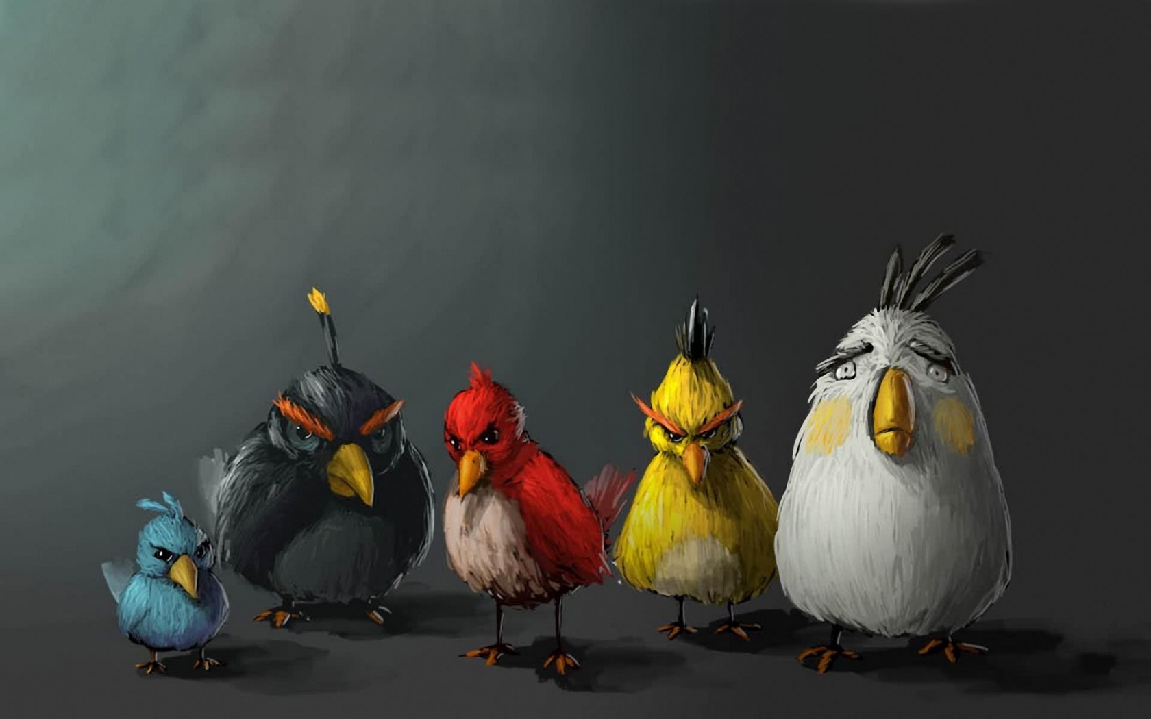 mobile desktop background birds with images download