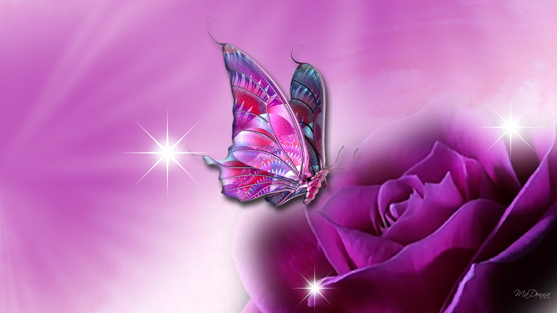 Mobile Desktop Background Butterfly Wallpaper Download