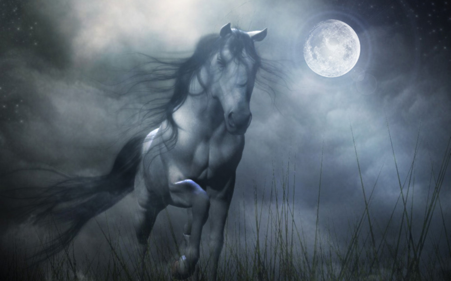 Mobile Desktop Background Cartoon Picture Of Horse Download