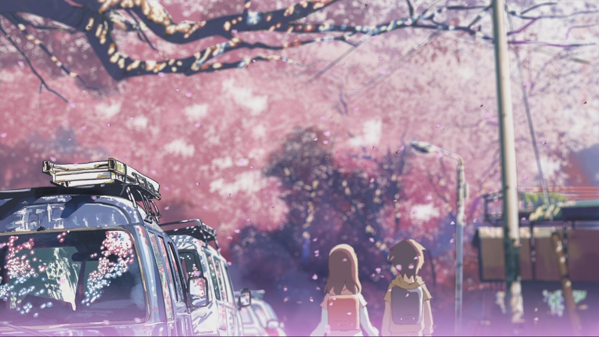 mobile desktop background cherry blossom tree pics download