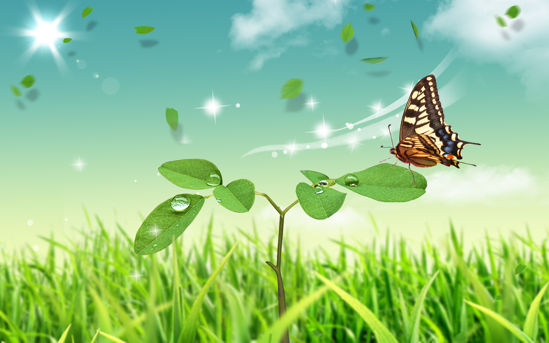 Mobile Desktop Background Download Free Butterfly Wallpaper