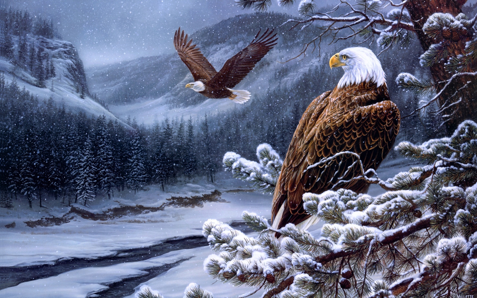 Mobile Desktop Background Eagles Birds Images Download