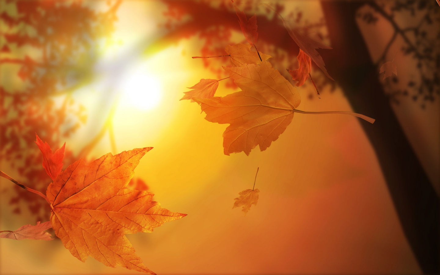 Mobile Desktop Background Fall Abstract S Download