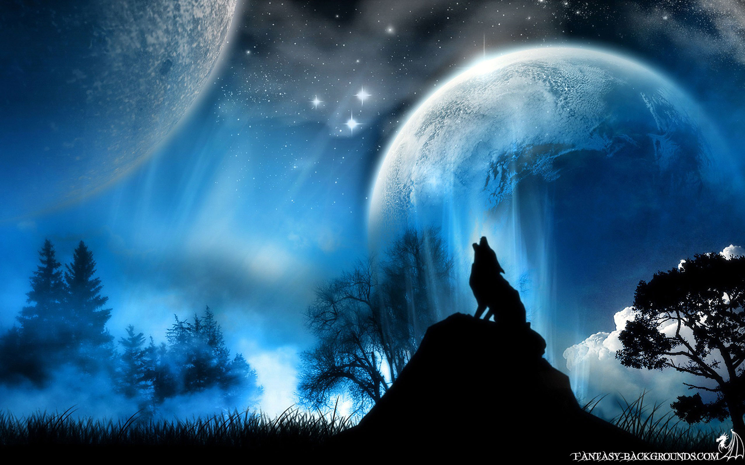 Mobile Desktop Background Free Wolf Wallpaper For Android Download