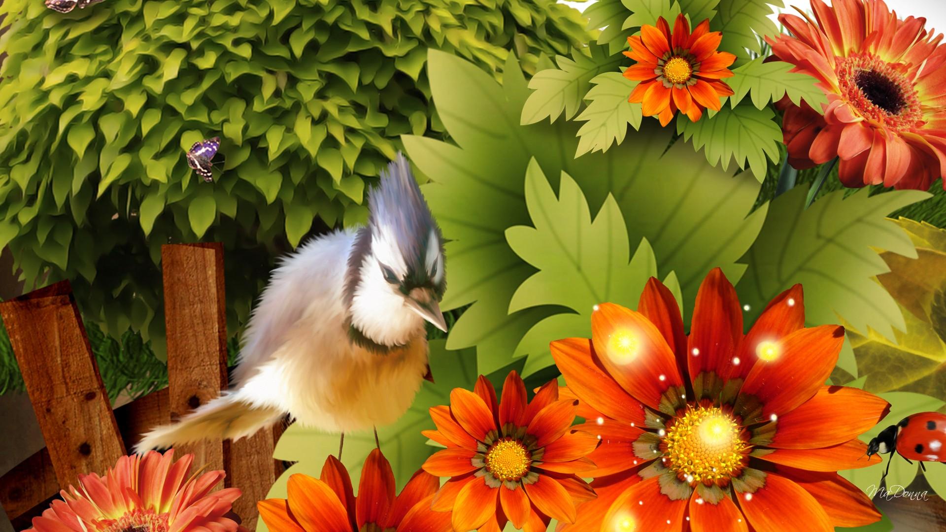 mobile desktop background full hd bird wallpaper download