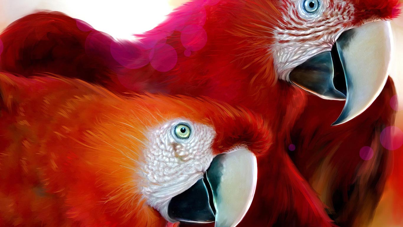 Mobile Desktop Background Hd African Gray Parrot Images