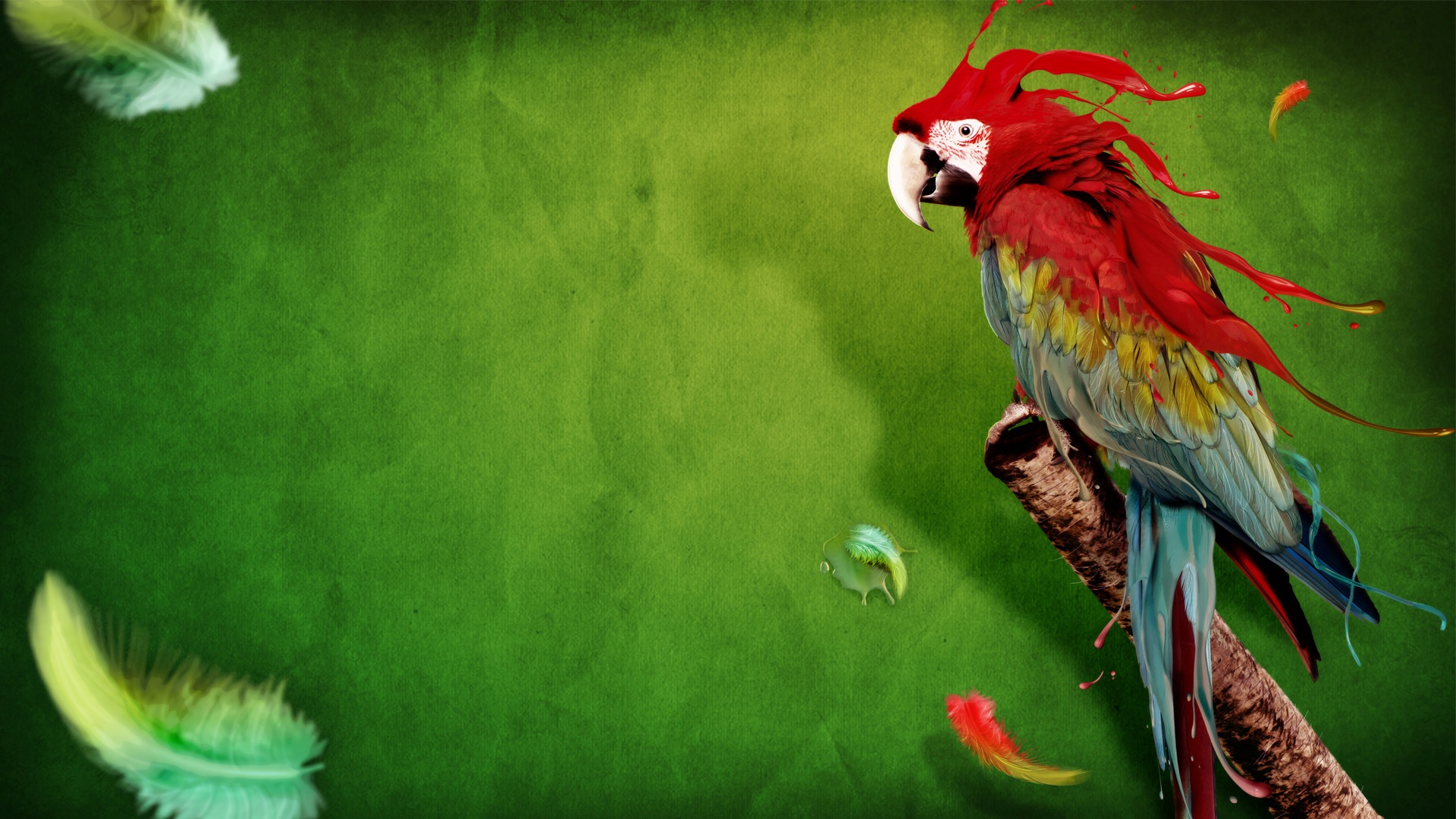 Mobile Desktop Background Hd Bird Parrot Image