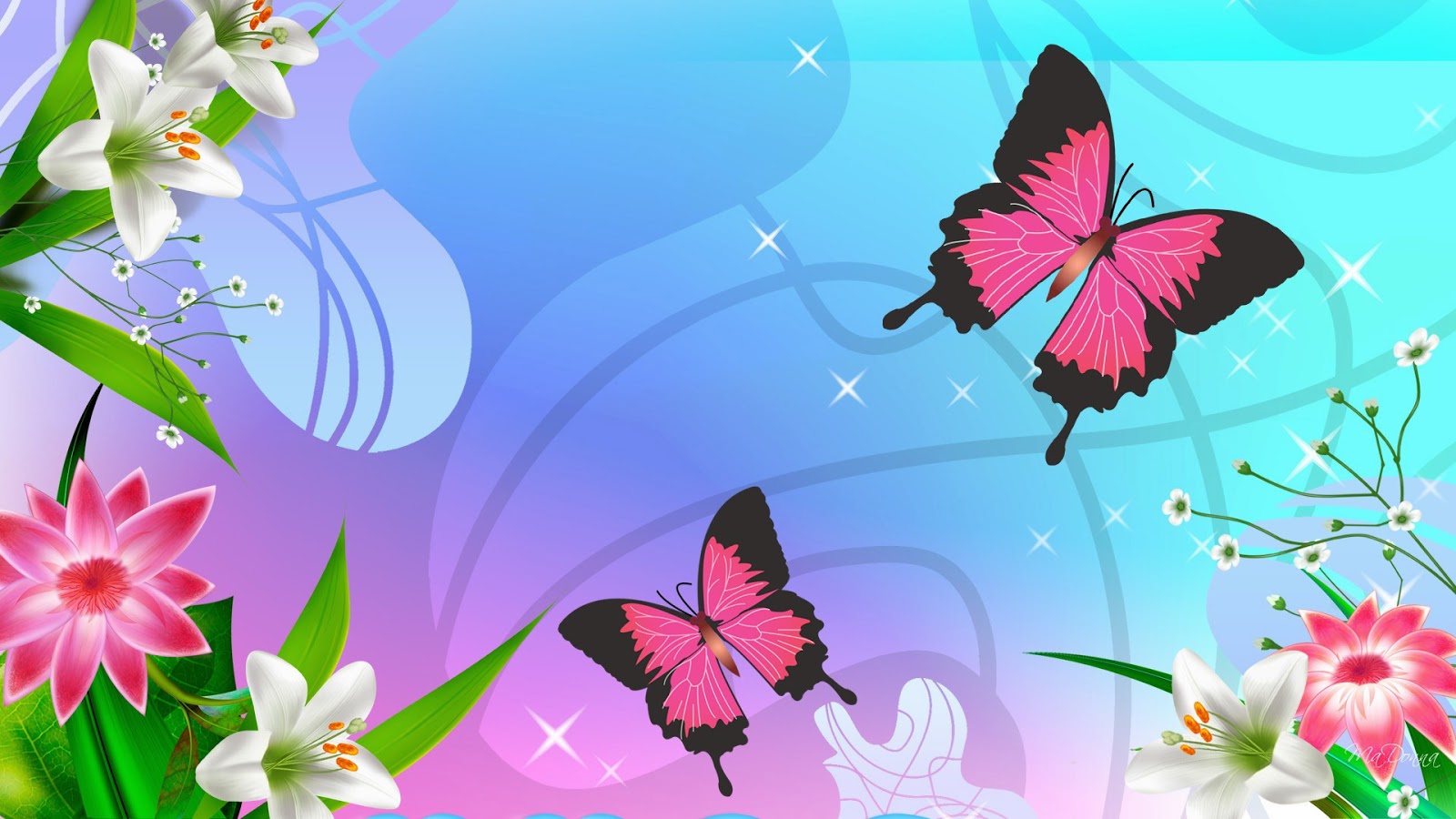 mobile desktop background hd cute butterfly wallpaper