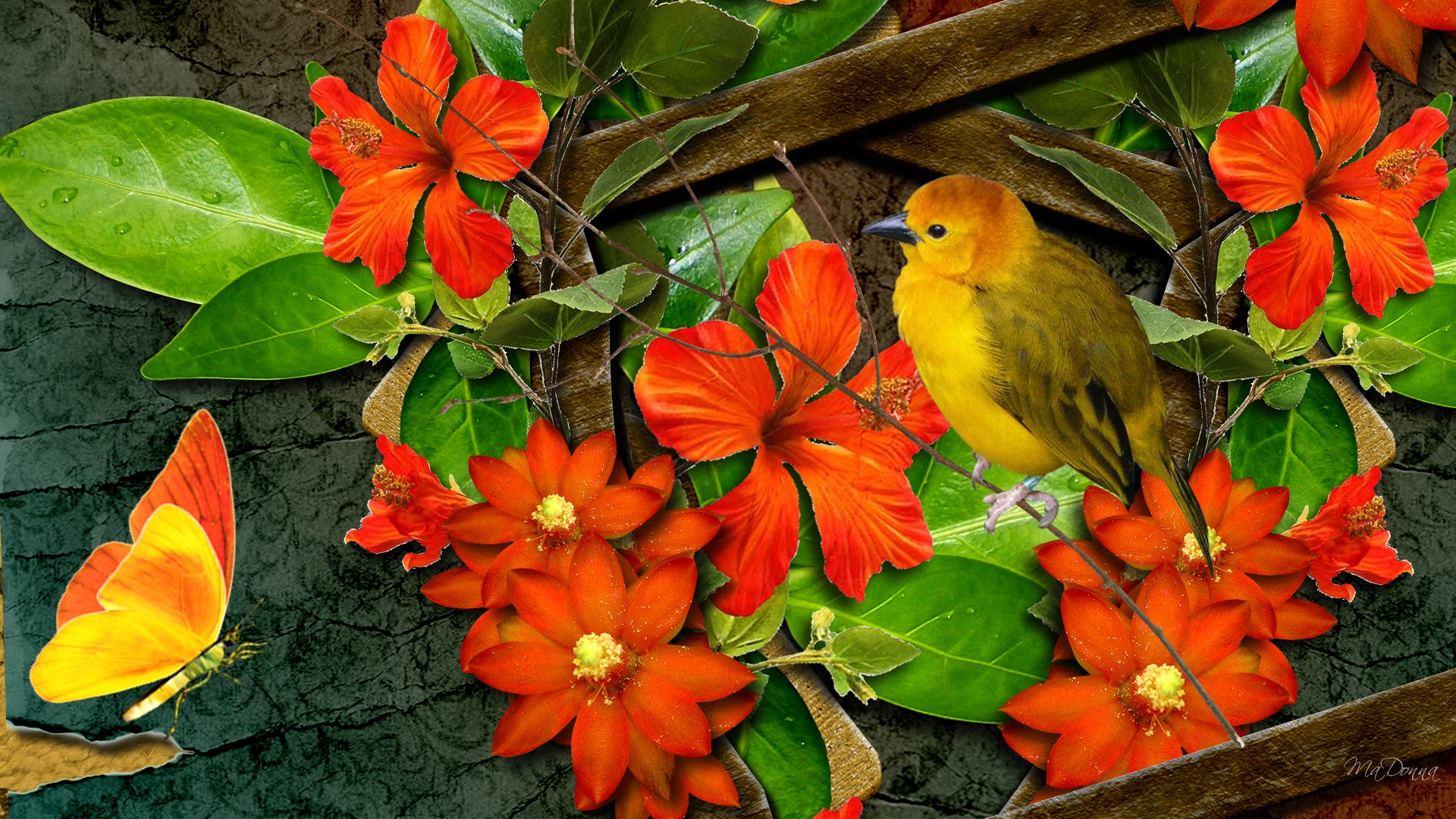 Mobile Desktop Background Hd Download Free Images Of Birds