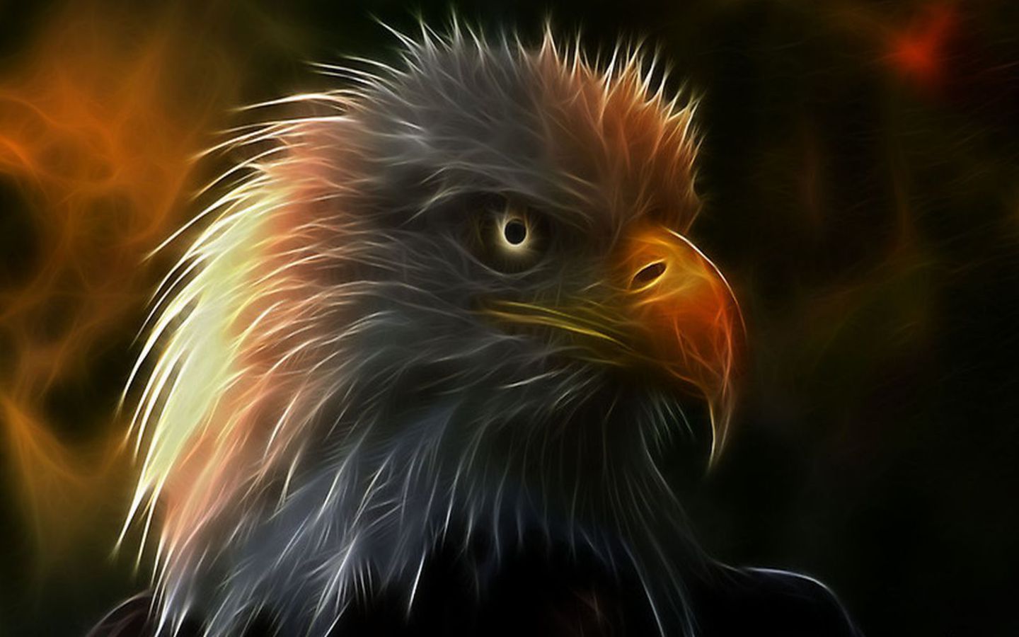 Mobile Desktop Background Hd Eagle Birds Pics