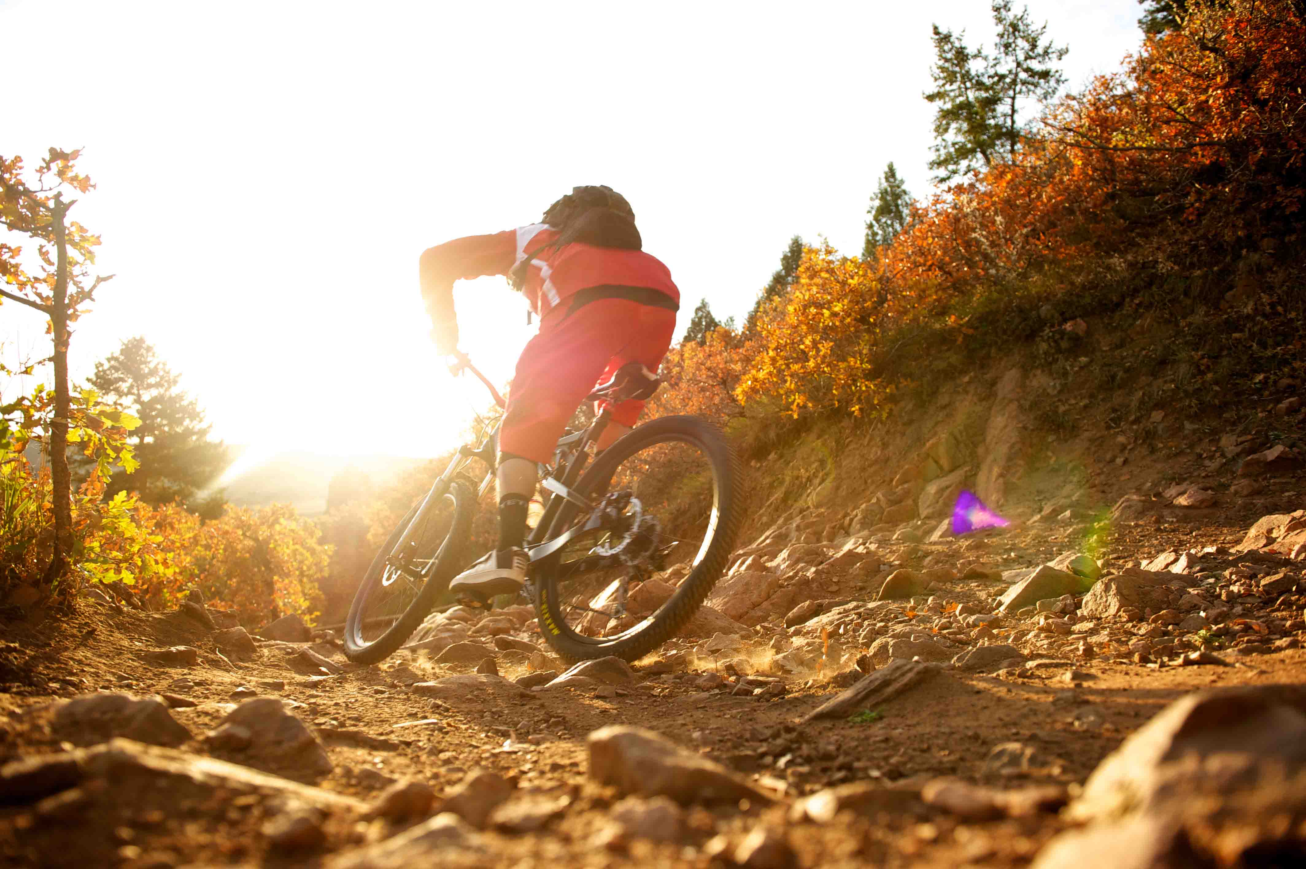 mountain bike photography tips download