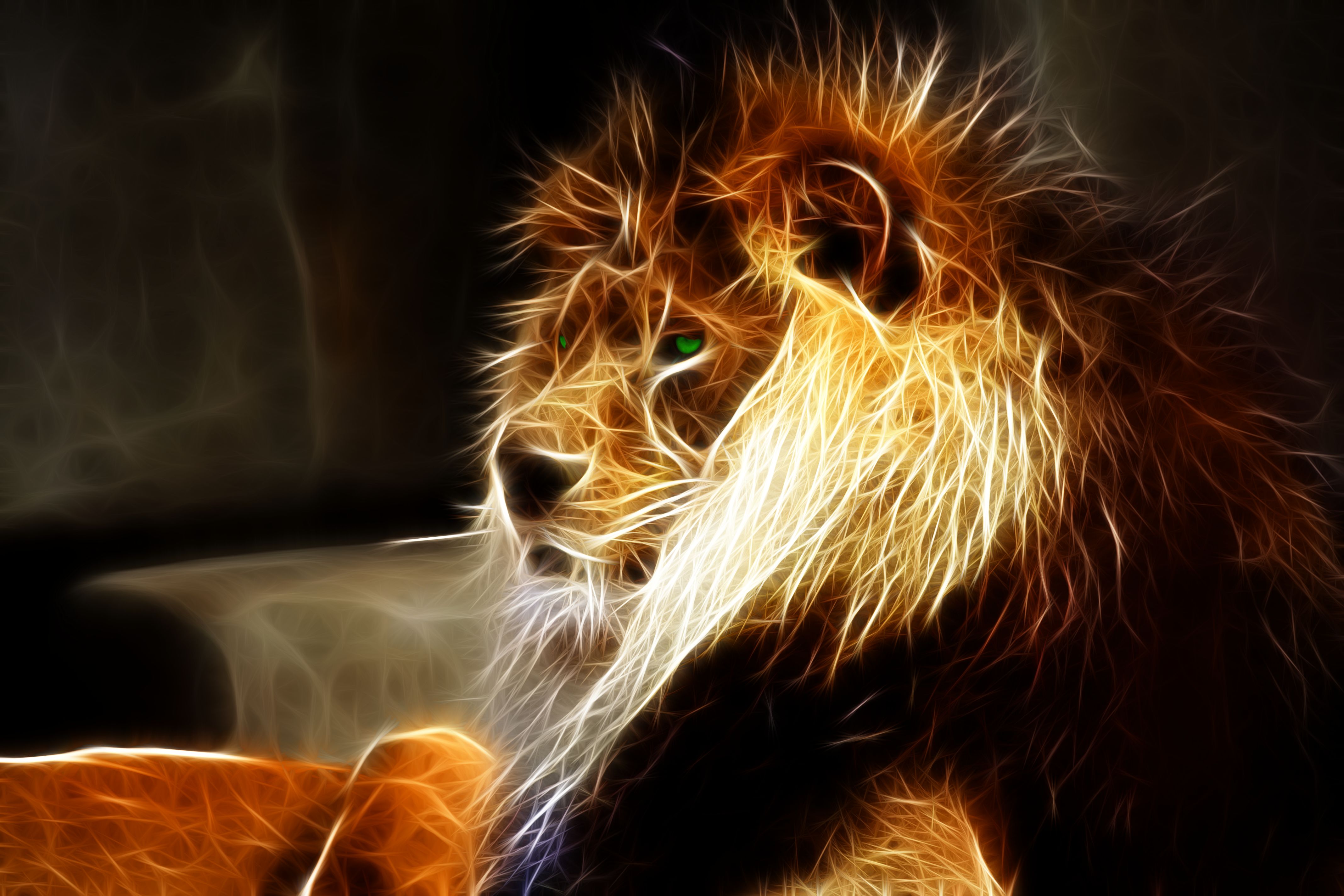 picture of a lion head download