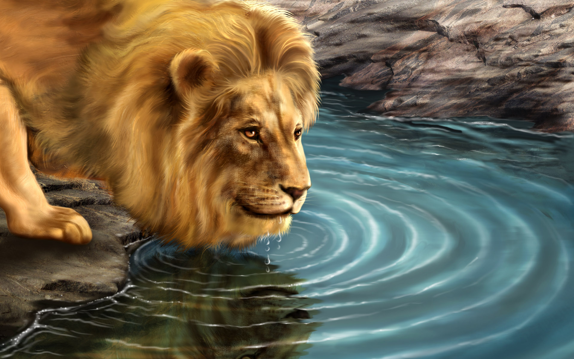 roaring desktop angry lion photos download