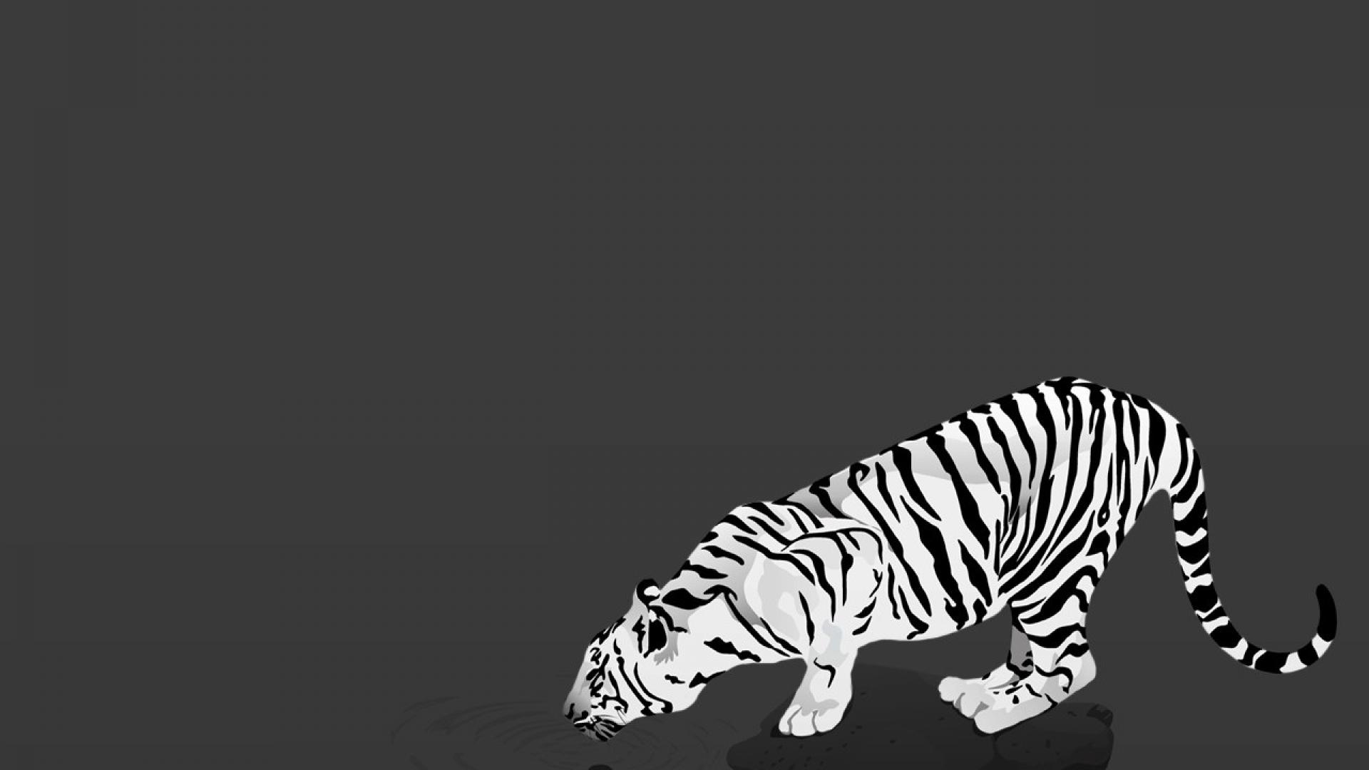 Wallpaper White Tiger Download