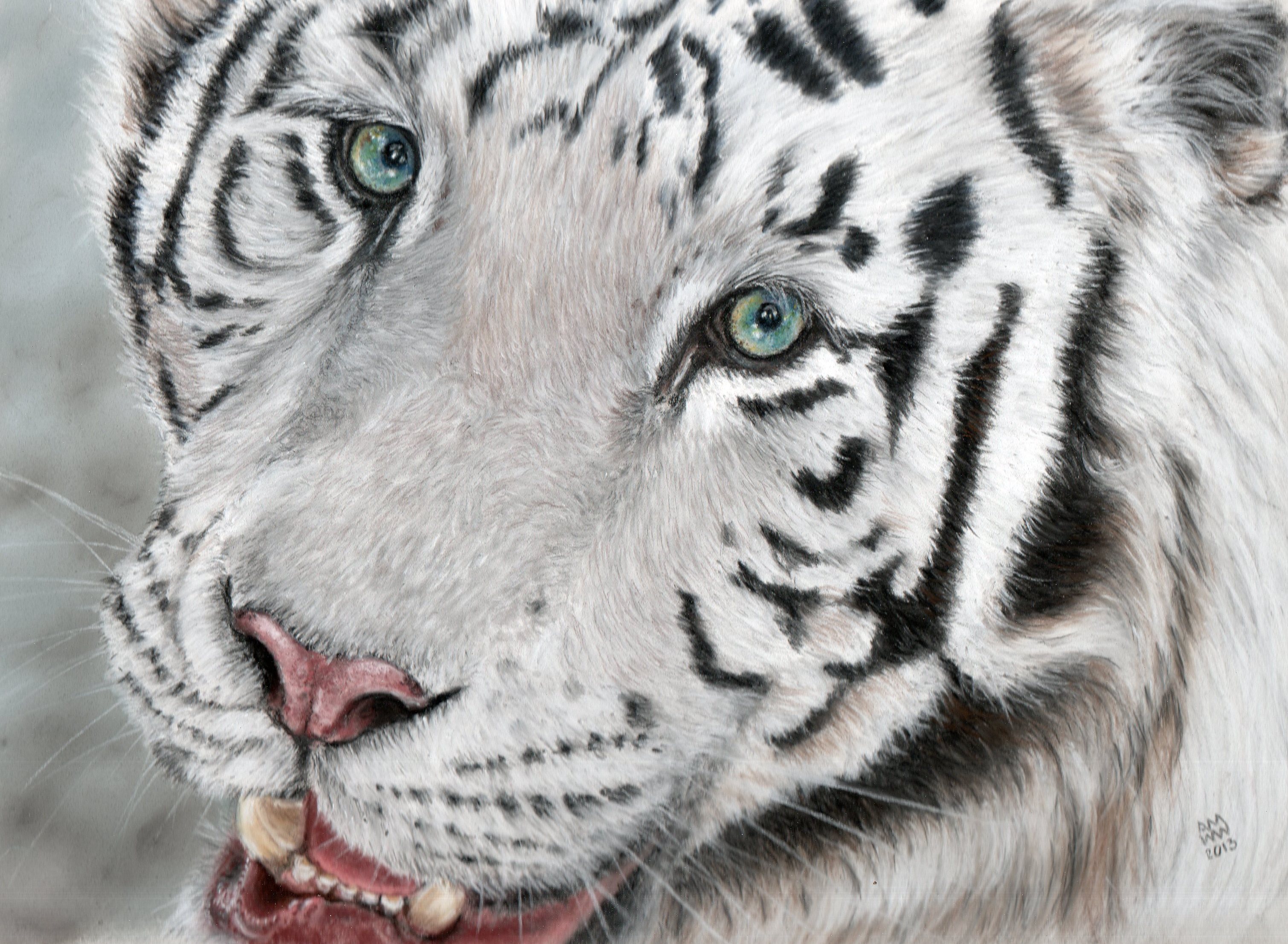 White Tiger Pictures Download