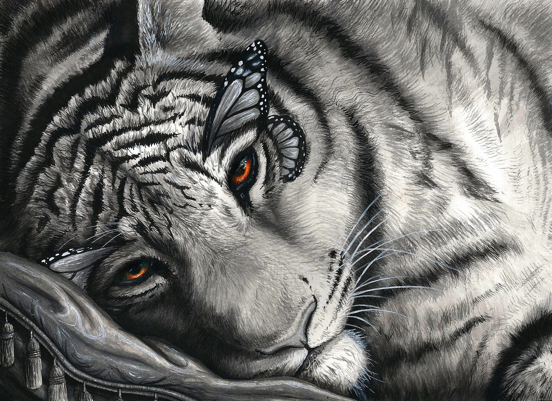 White Tiger Wallpaper Desktop Download