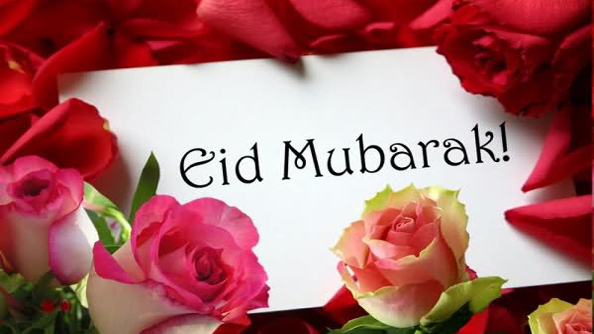 hd eid mubarak wishes download mobile free wallpaper