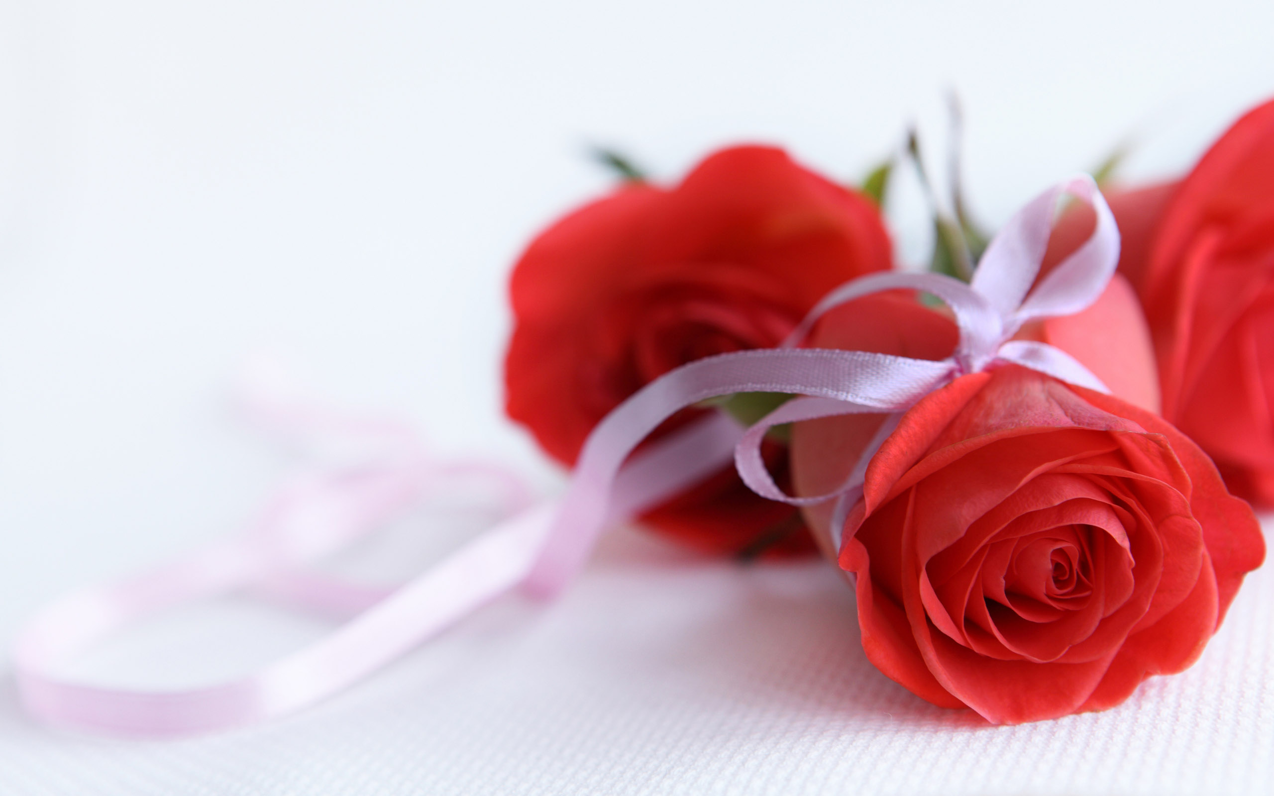 Red Rose Wedding Gift Flower Whatsapp Images Free Downlod