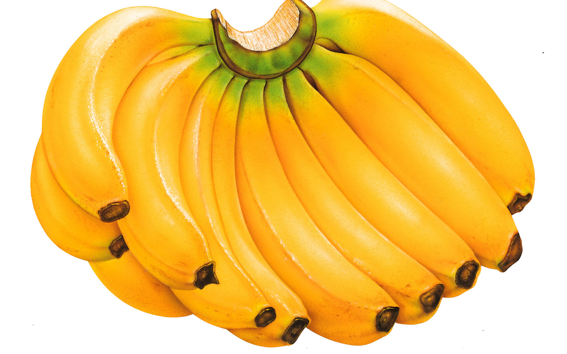 desktop hd banana wallpaper fruits nature