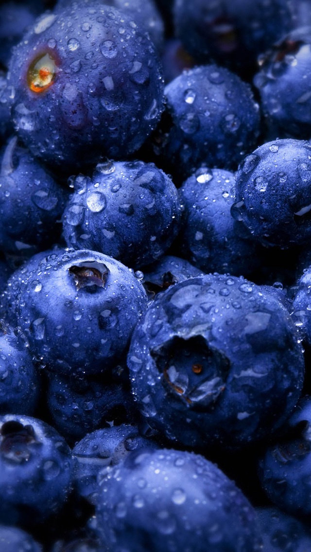 desktop hd blueberry pictures fruit