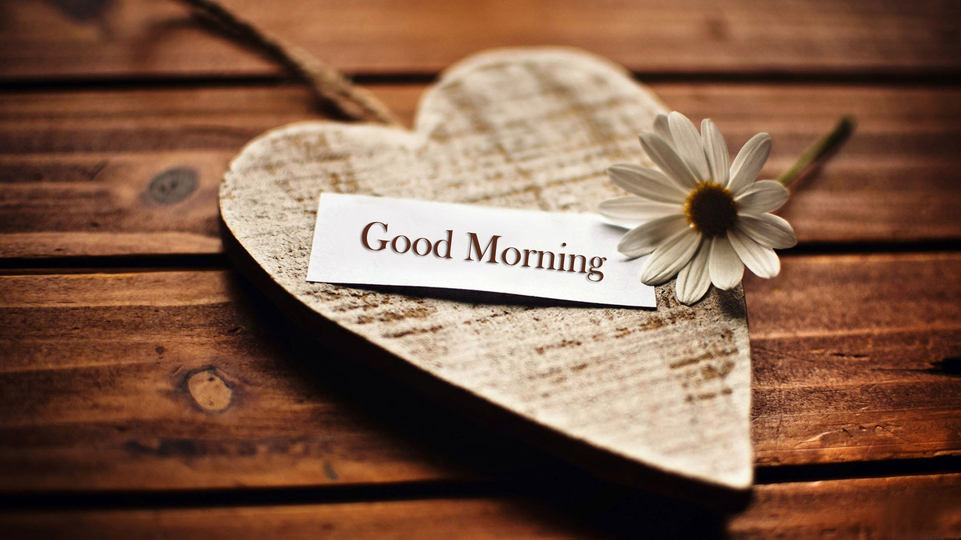 good morning love wishes wallpapers