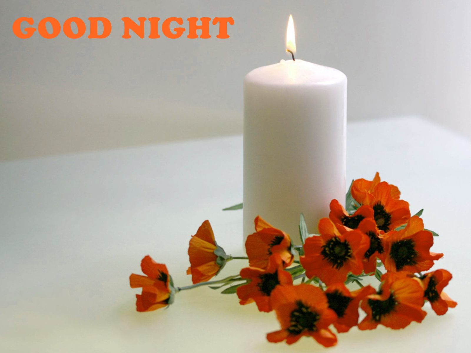 Good Night Candle And Flowers HD Wallpaper