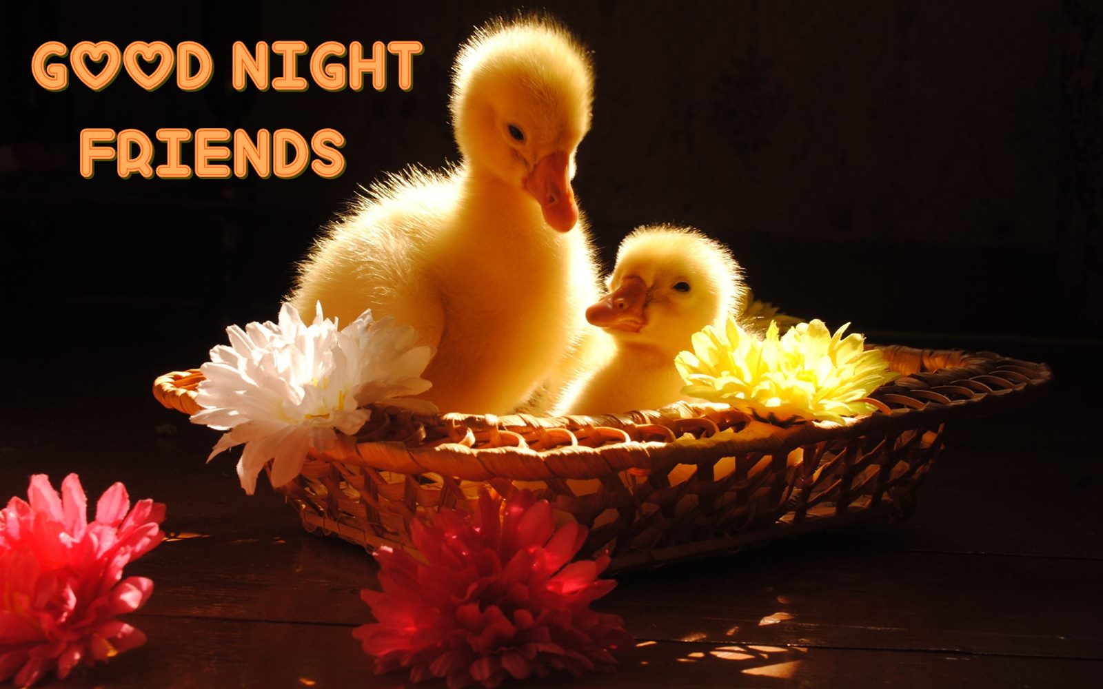Good Night Cute Duck Wallpaper