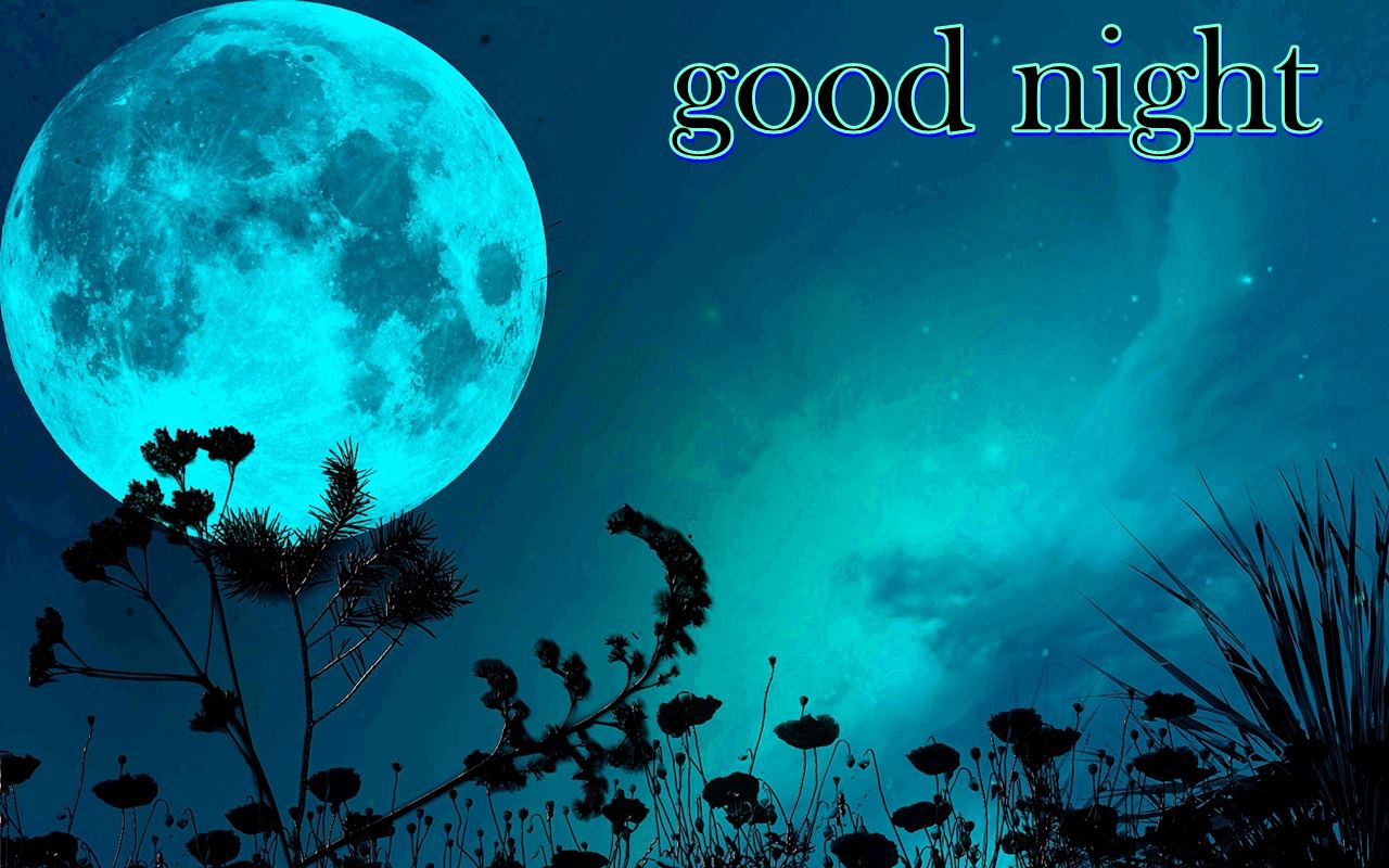 Good Night Moon Light Scenery View HD Wallpaper