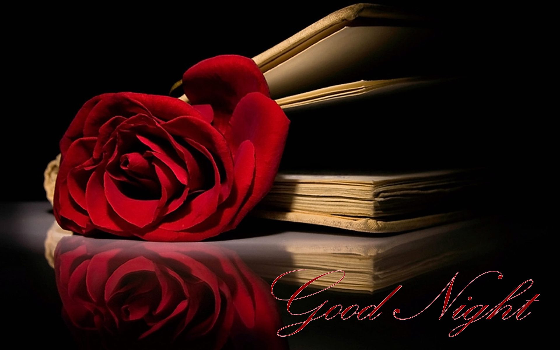 Good Night Red Rose And Book HD Wallpaper