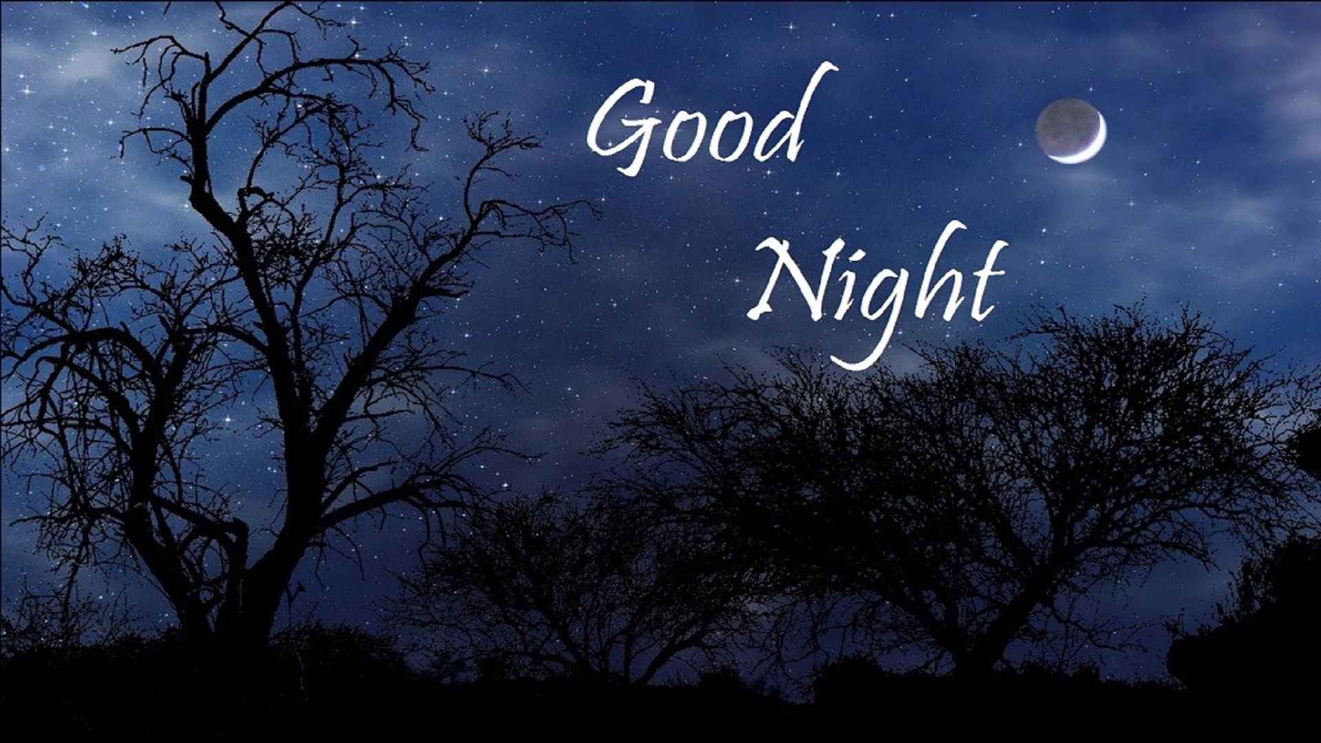 good night sweet dream images pic free hd