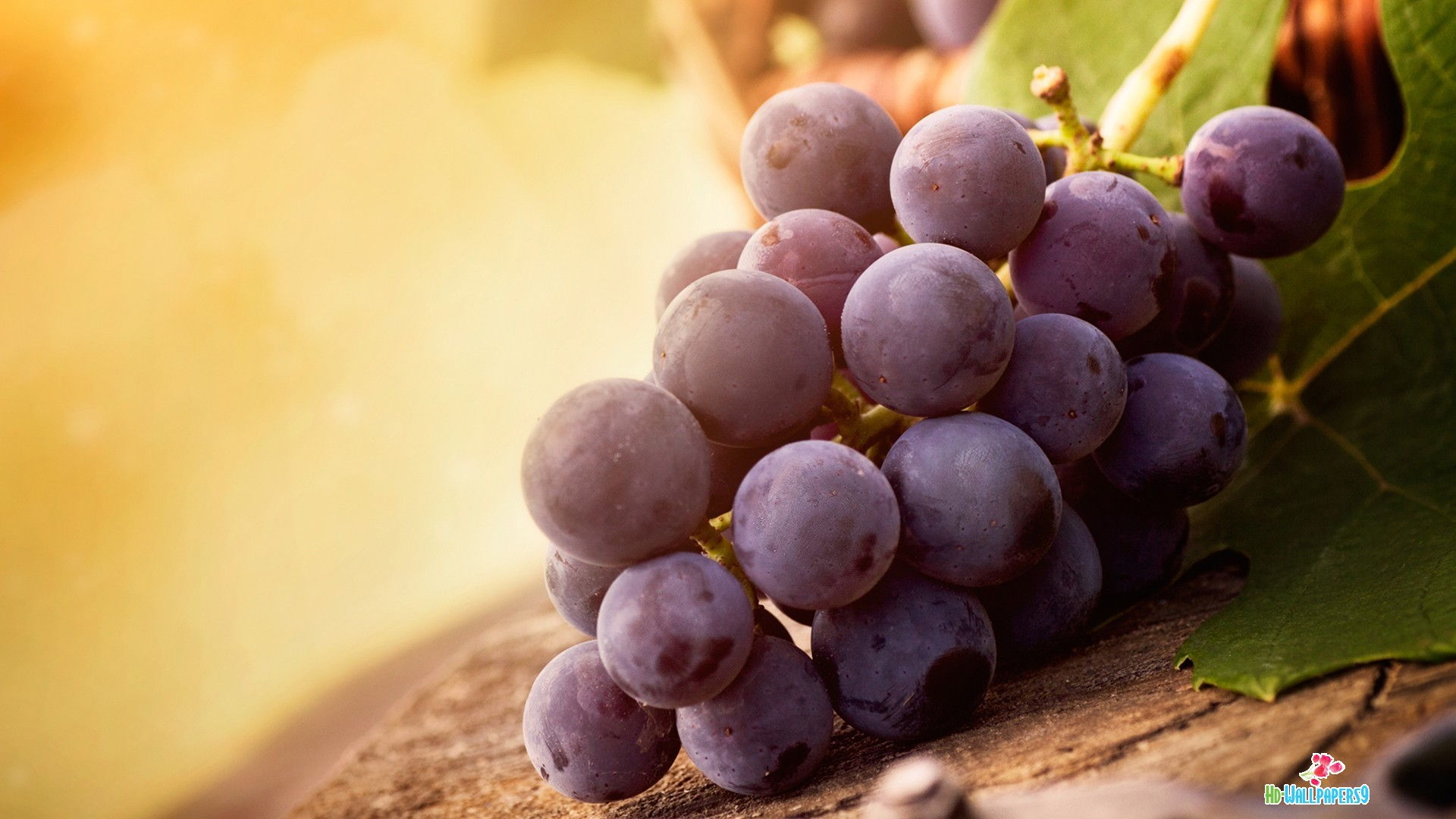 desktop grapes image