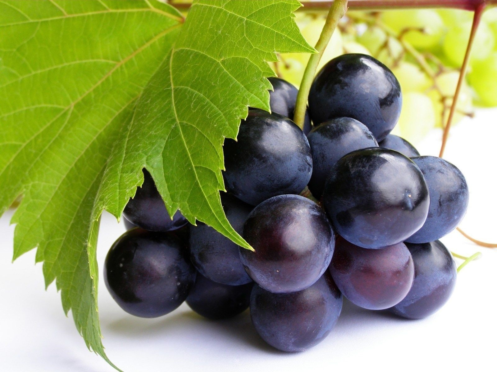grapes image download