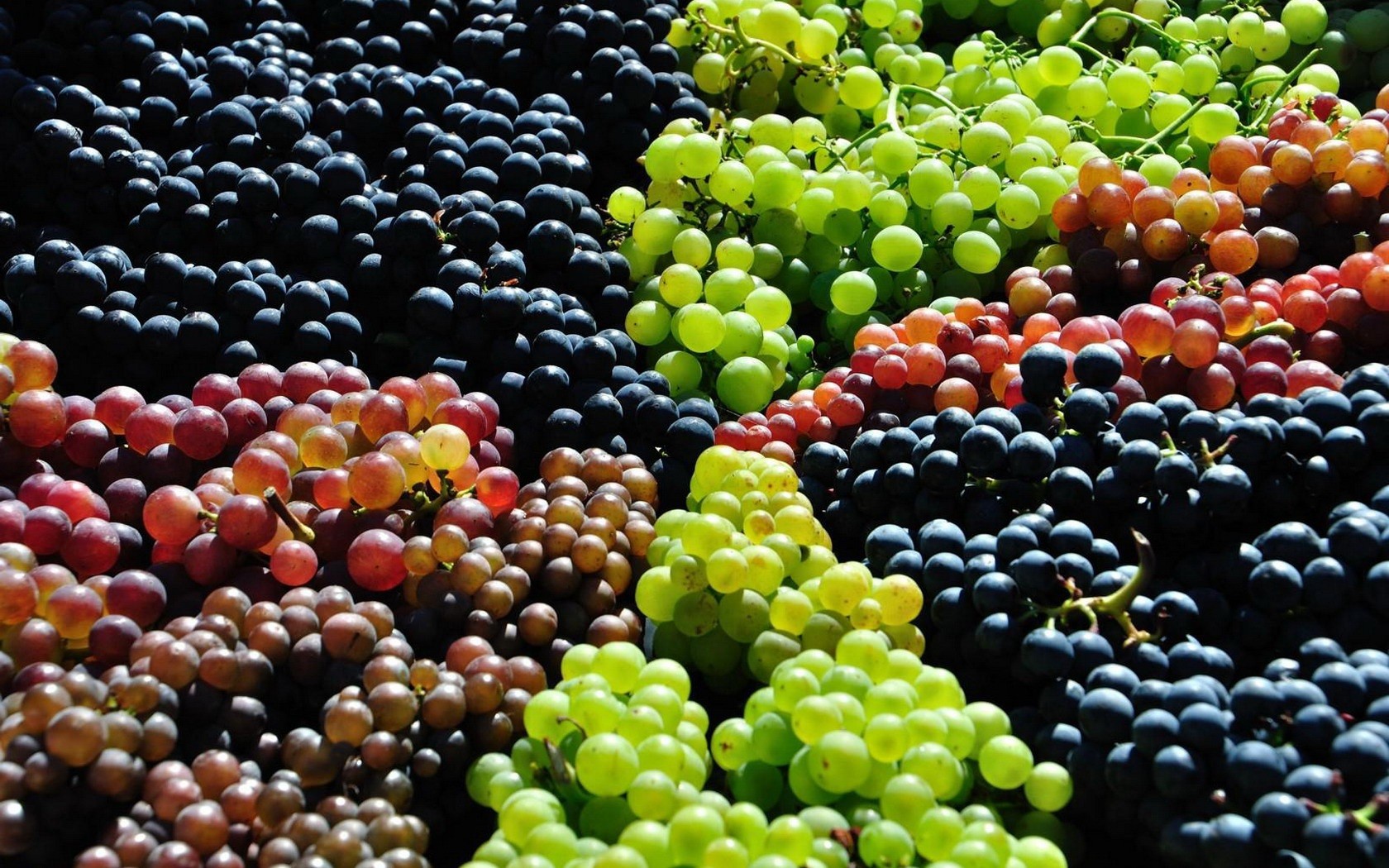 grapes images to color wallpaper