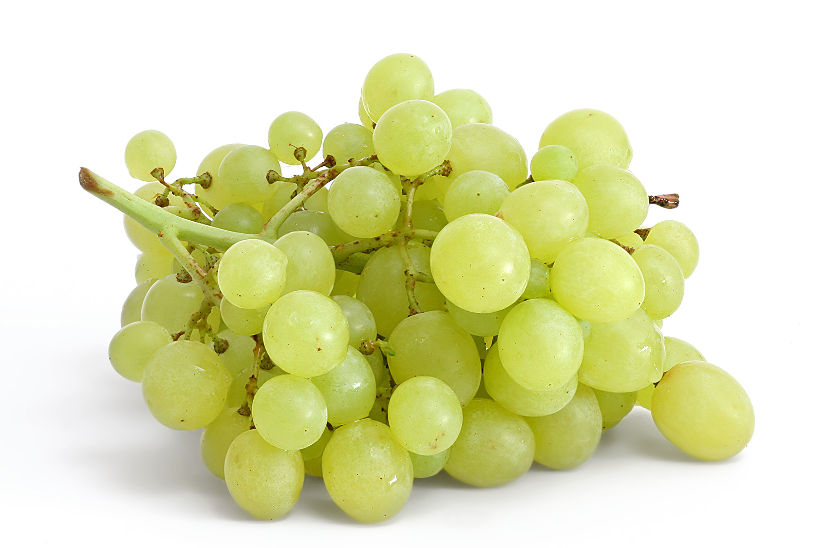 pictures of grape