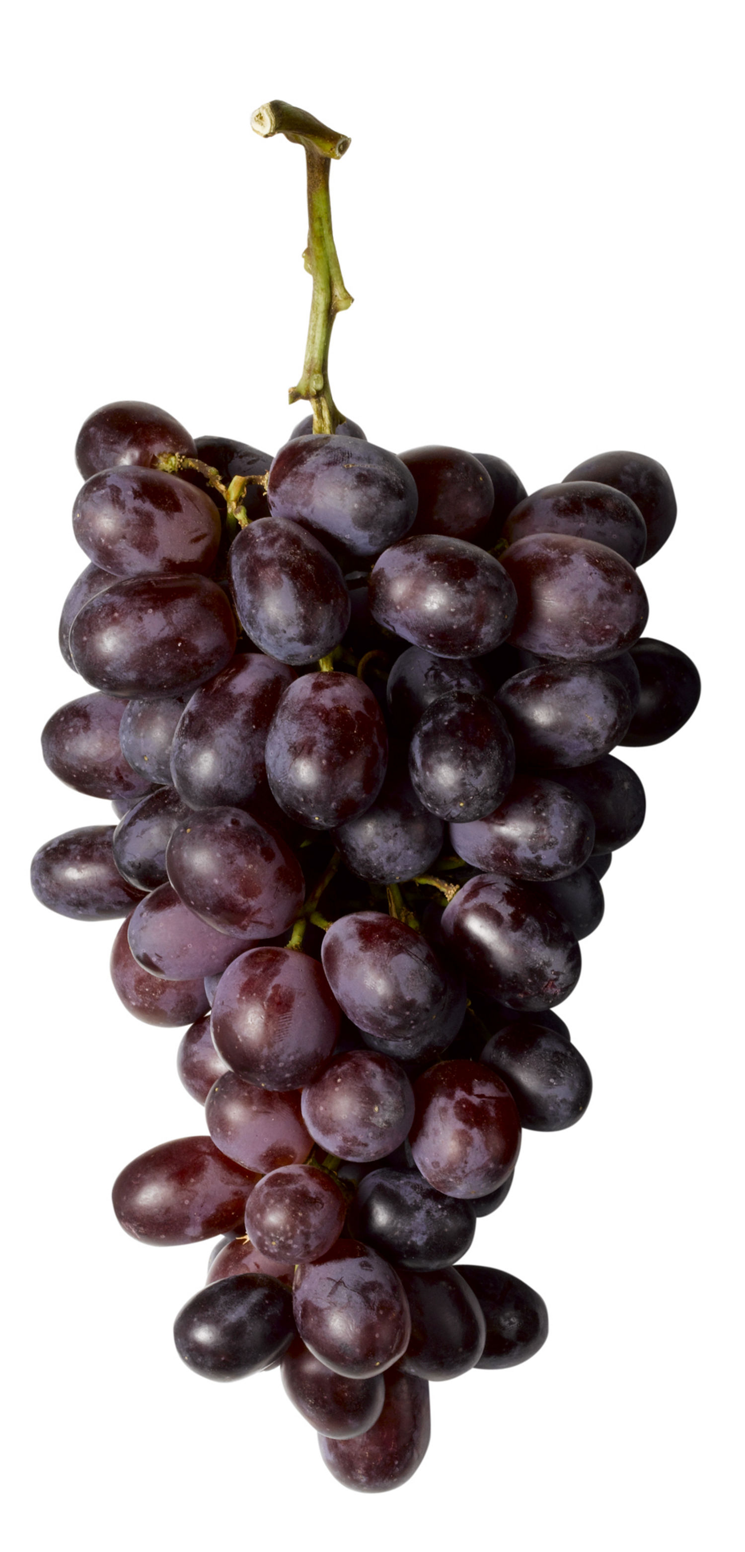 red grapes images