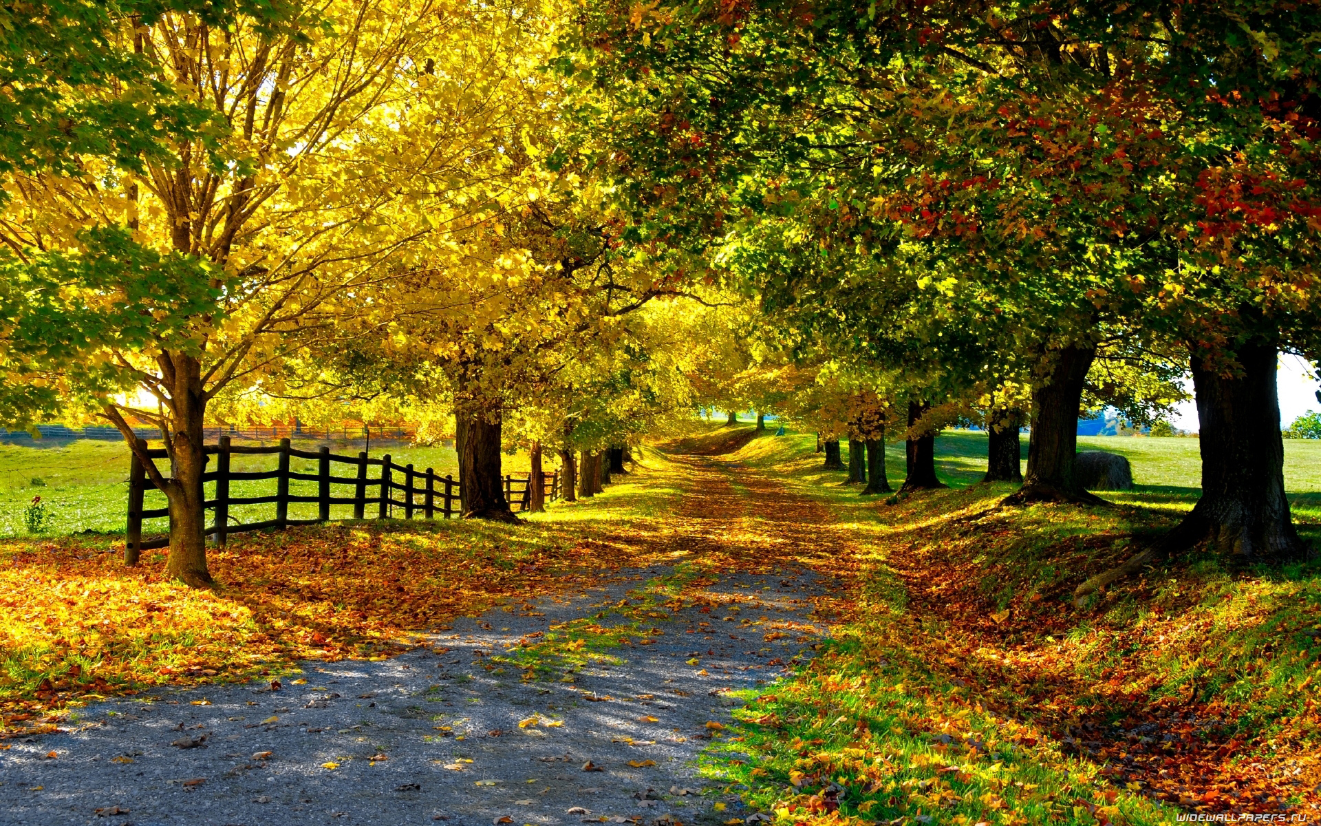 autumn country road 4k background wallpapers