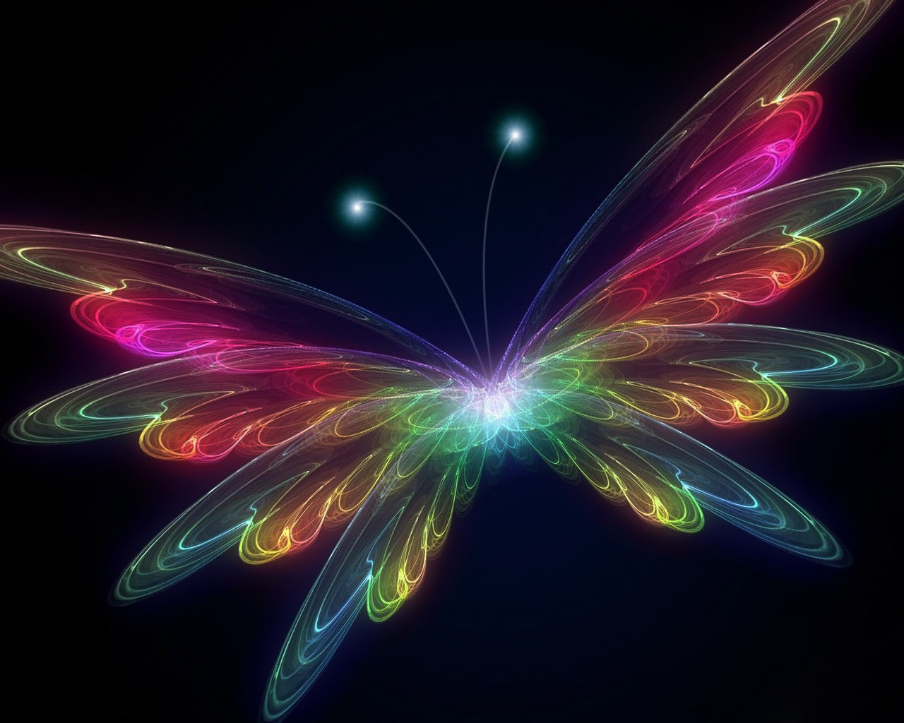 beautiful butterfly black hd abstract 4k background wallpapers