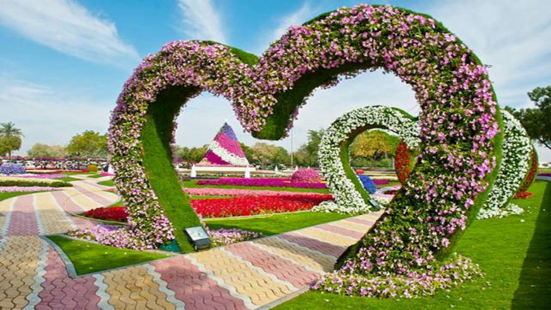 Garden Flowers Hd 4k Background Wallpaperss Free For Desktop