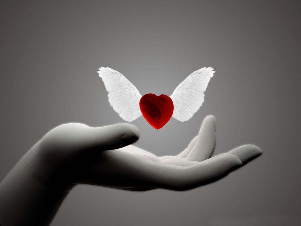 heart butterfly gift 3d 4k background wallpapers copy