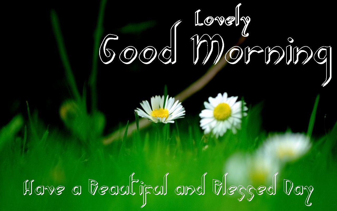 lovely good morning beautiful cool green hd images