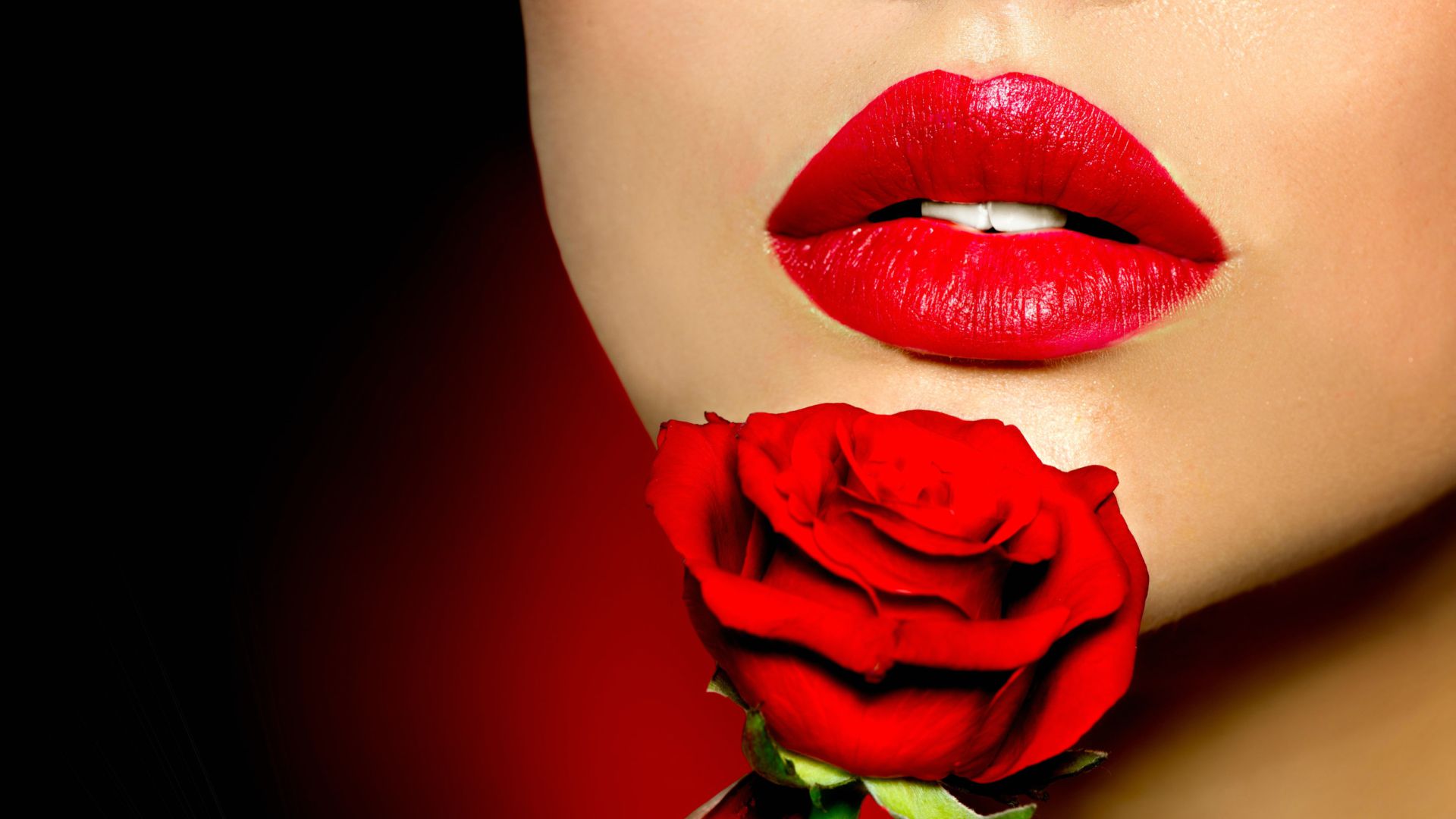 romantic free 4k background wallpaperss hd red rose with red lips