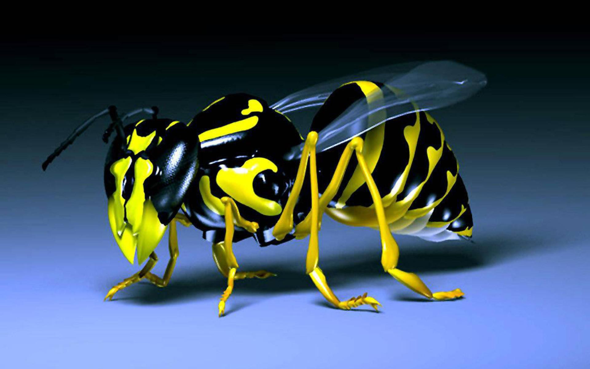 3d Bee Mobile Desktop Free Images