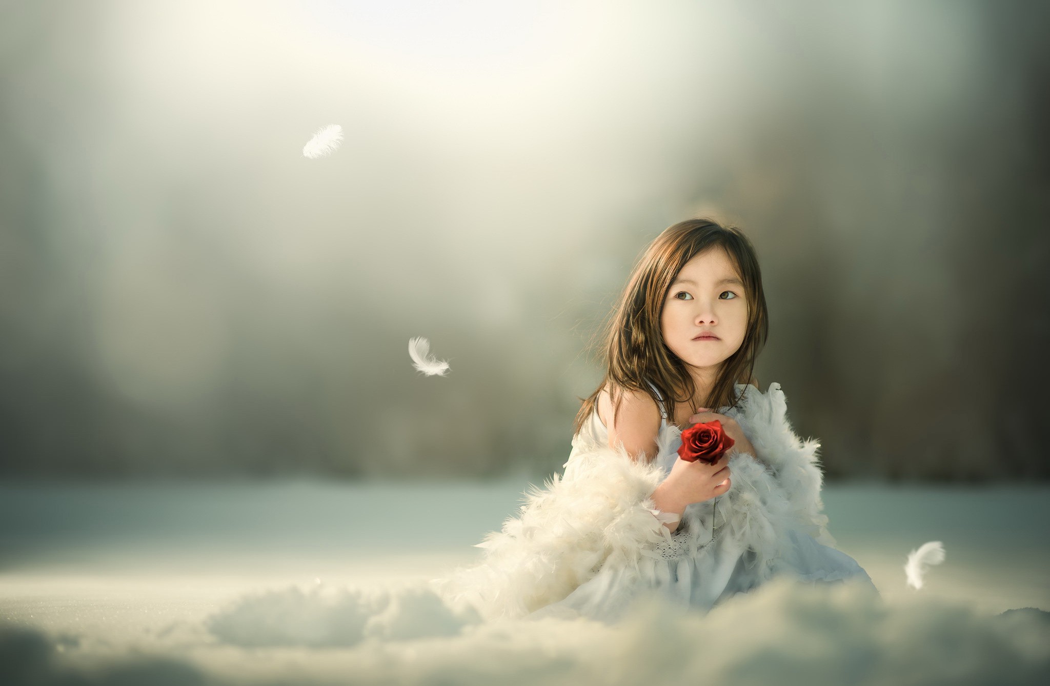 Cute Girl With Rose Background Free Awesome Image For Mobile