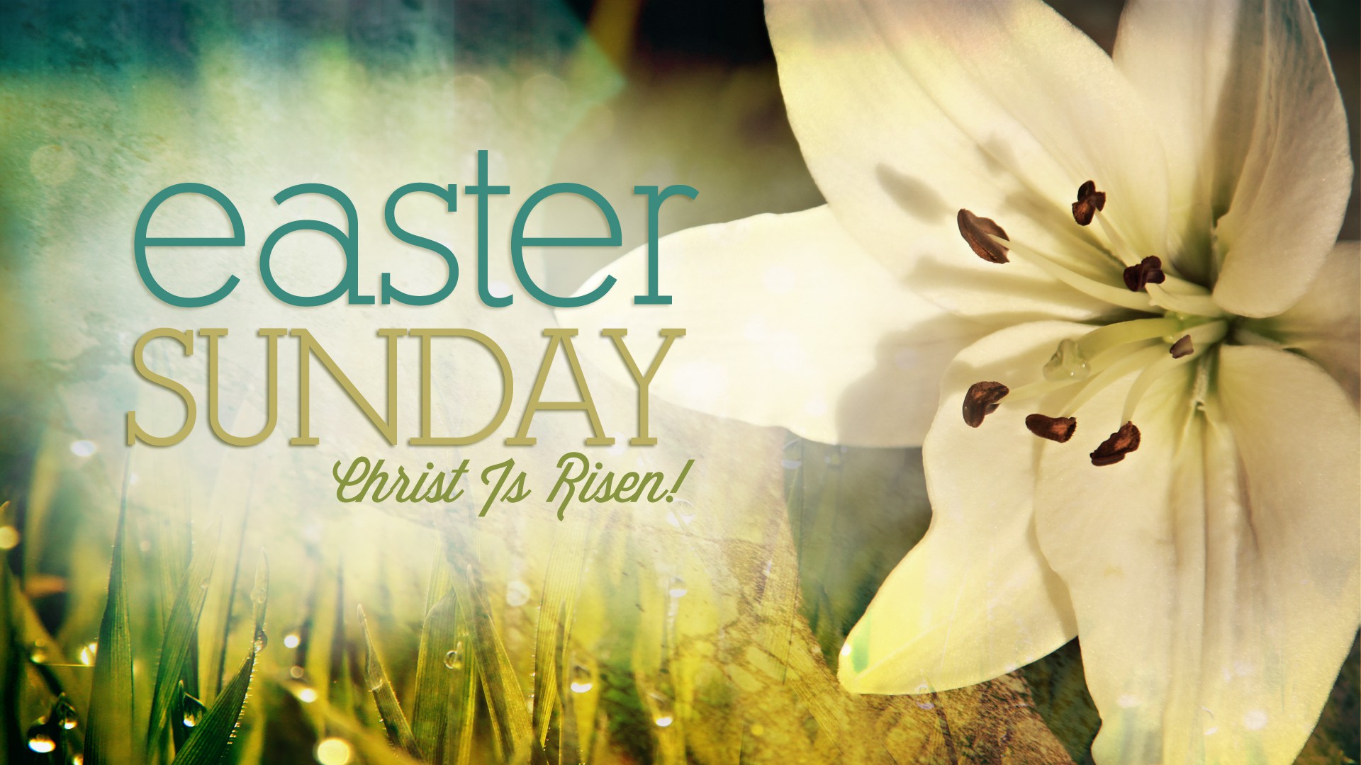 Easter Sunday Free Awesome Image For Mobile
