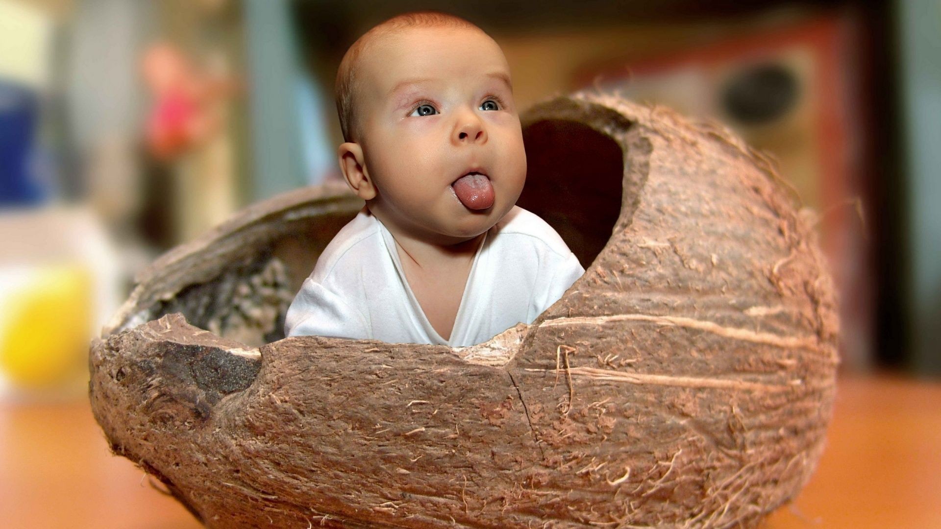 Funny Baby In Coconut Free Awesome Image For Mobile