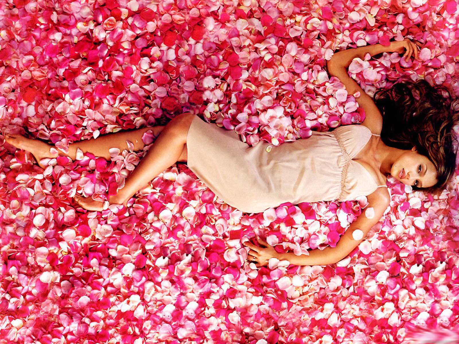 Jessica Alba On Rose Mobile Desktop Free Hd Wallpaper