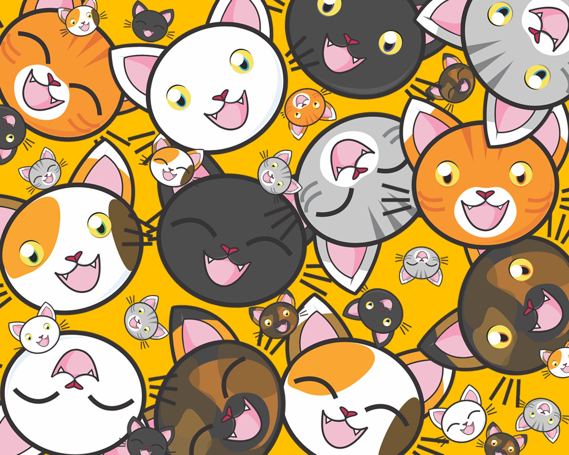 kittens face textures mobile desktop free hd wallpaper