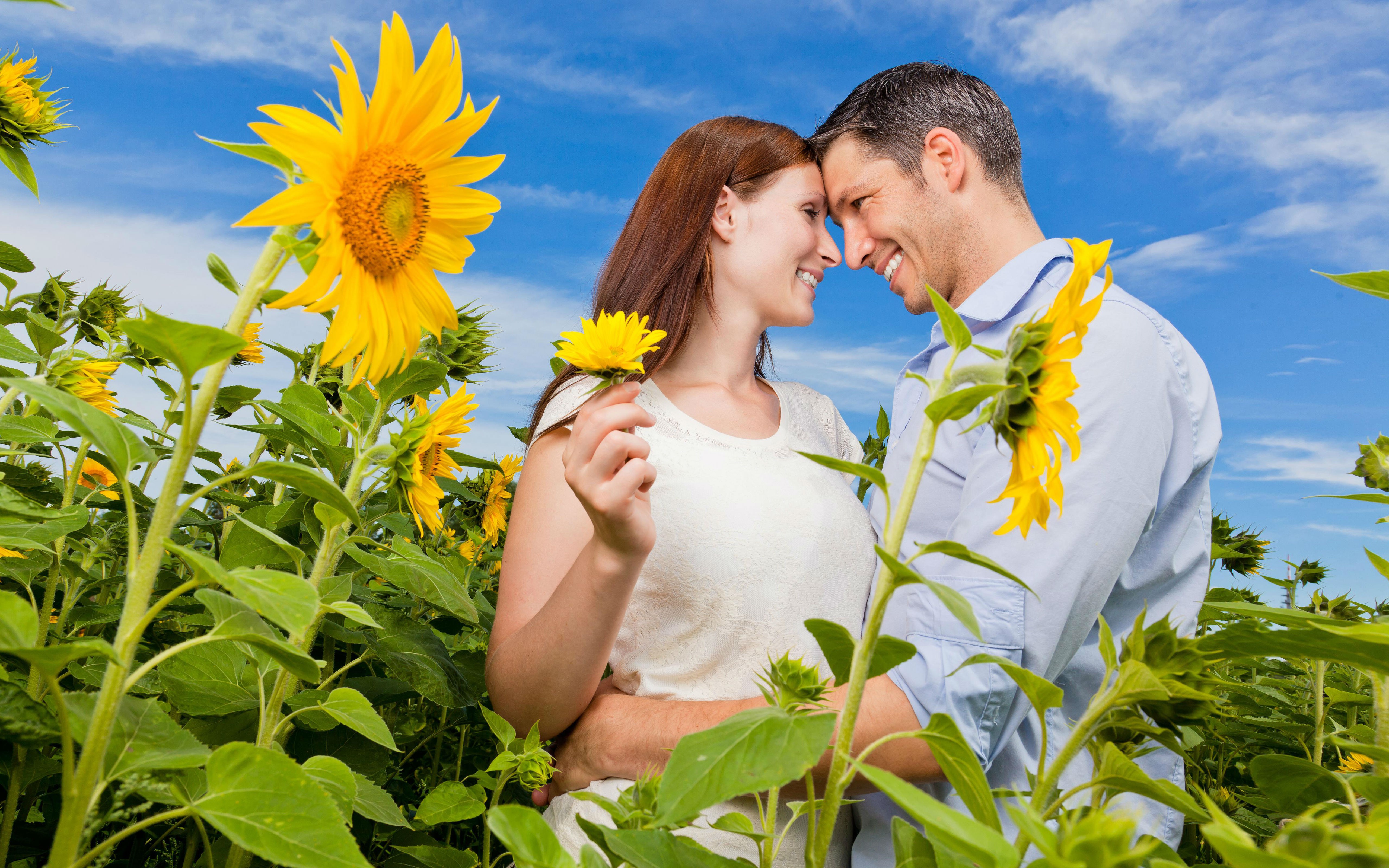 love couple in sunflower garden free awesome image for mobile